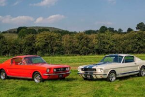 Mustang Fastback Vs Coupe: